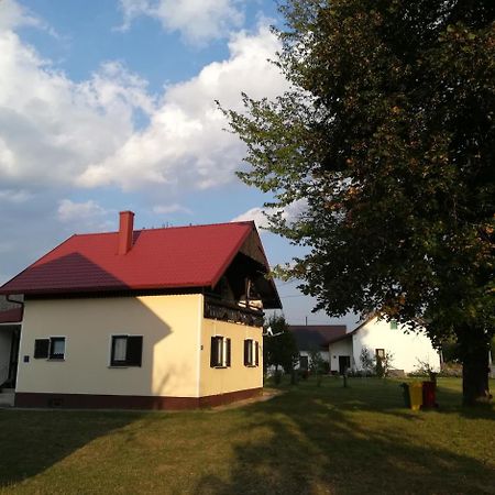 Villa Natali Donji Babin Potok Exteriér fotografie