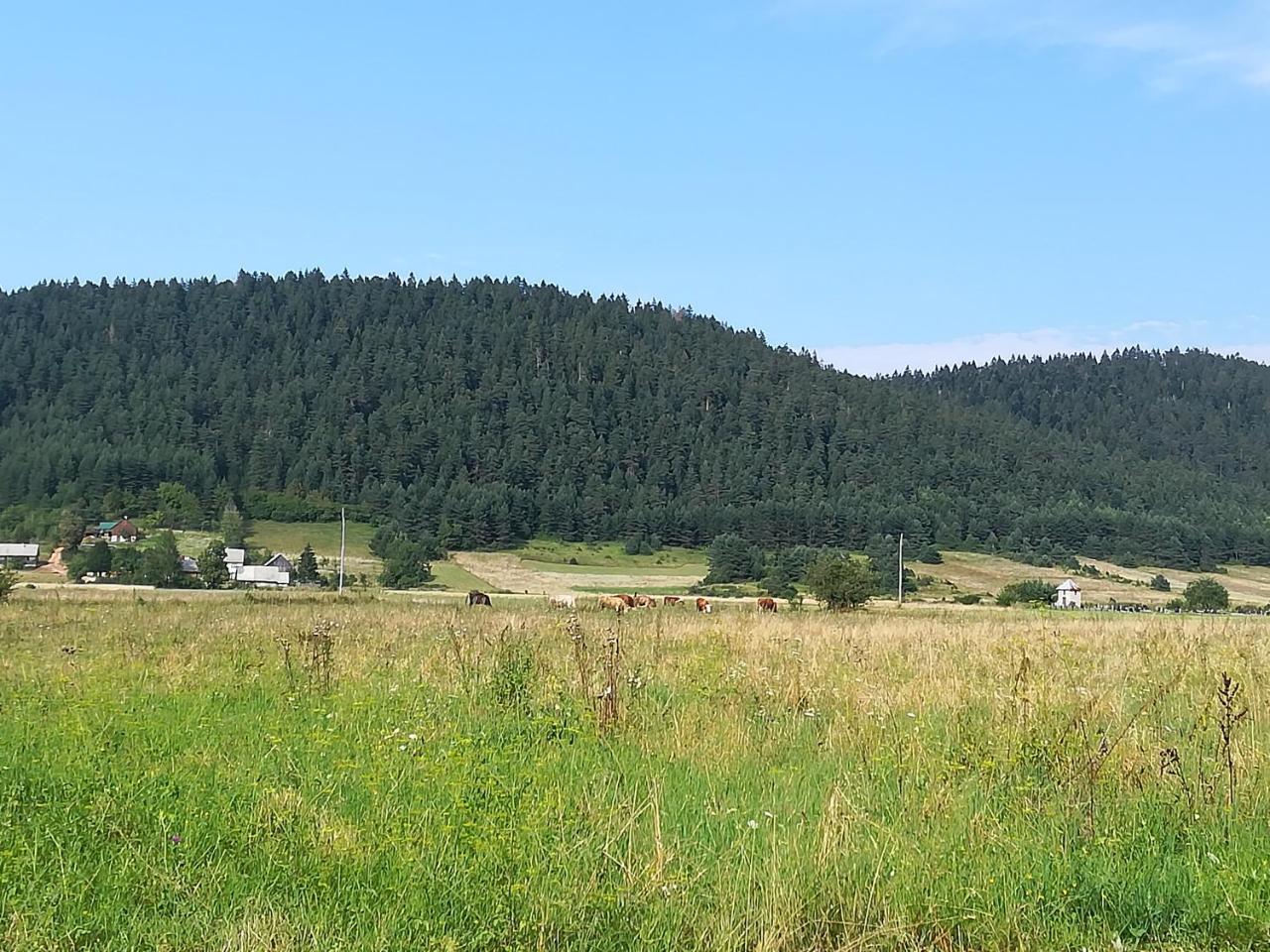 Villa Natali Donji Babin Potok Exteriér fotografie