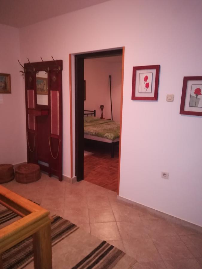 Villa Natali Donji Babin Potok Exteriér fotografie