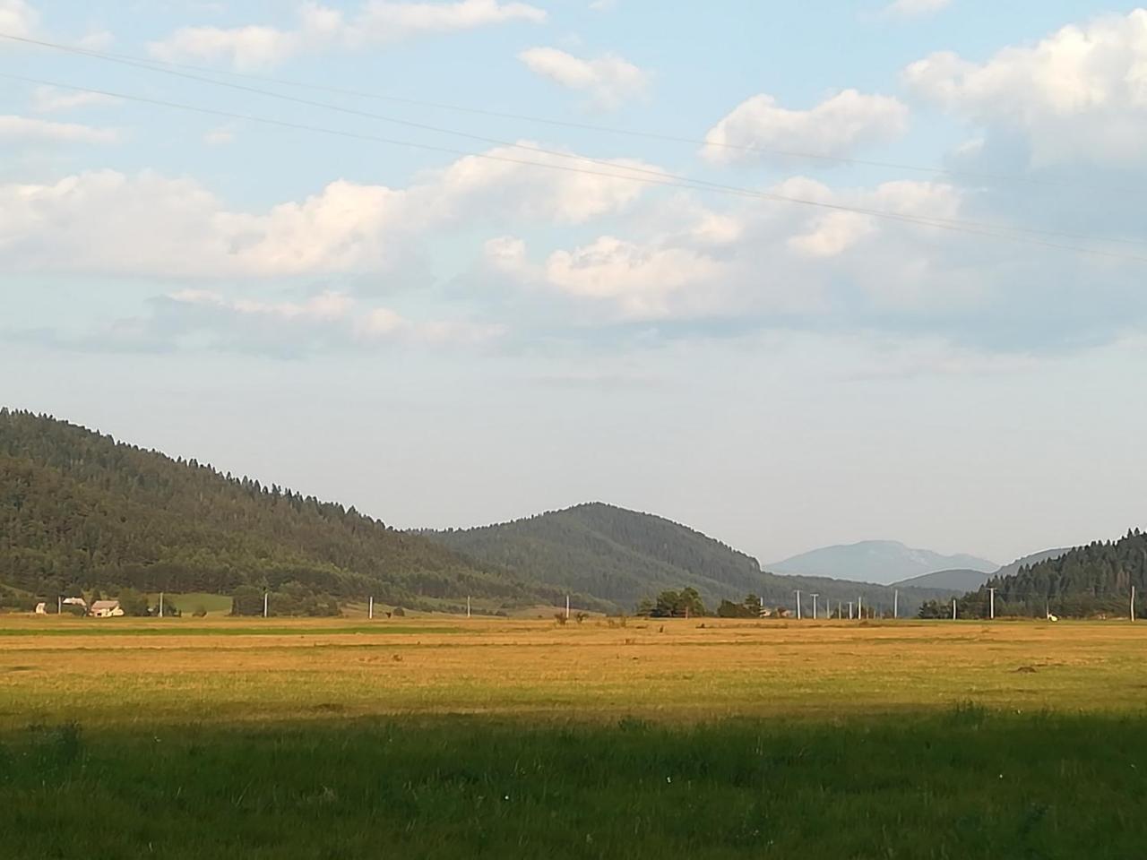 Villa Natali Donji Babin Potok Exteriér fotografie
