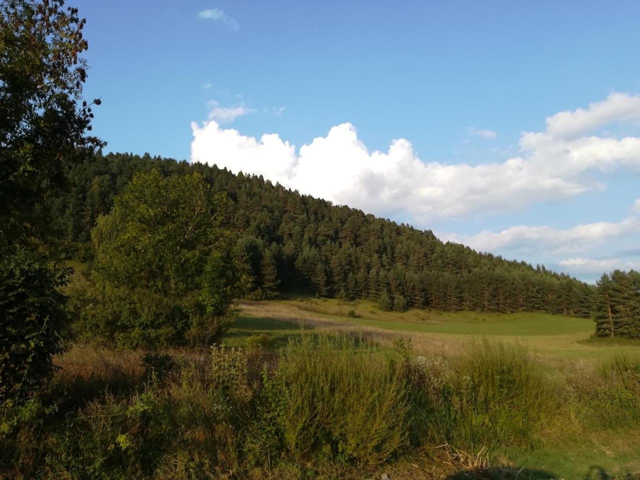 Villa Natali Donji Babin Potok Exteriér fotografie