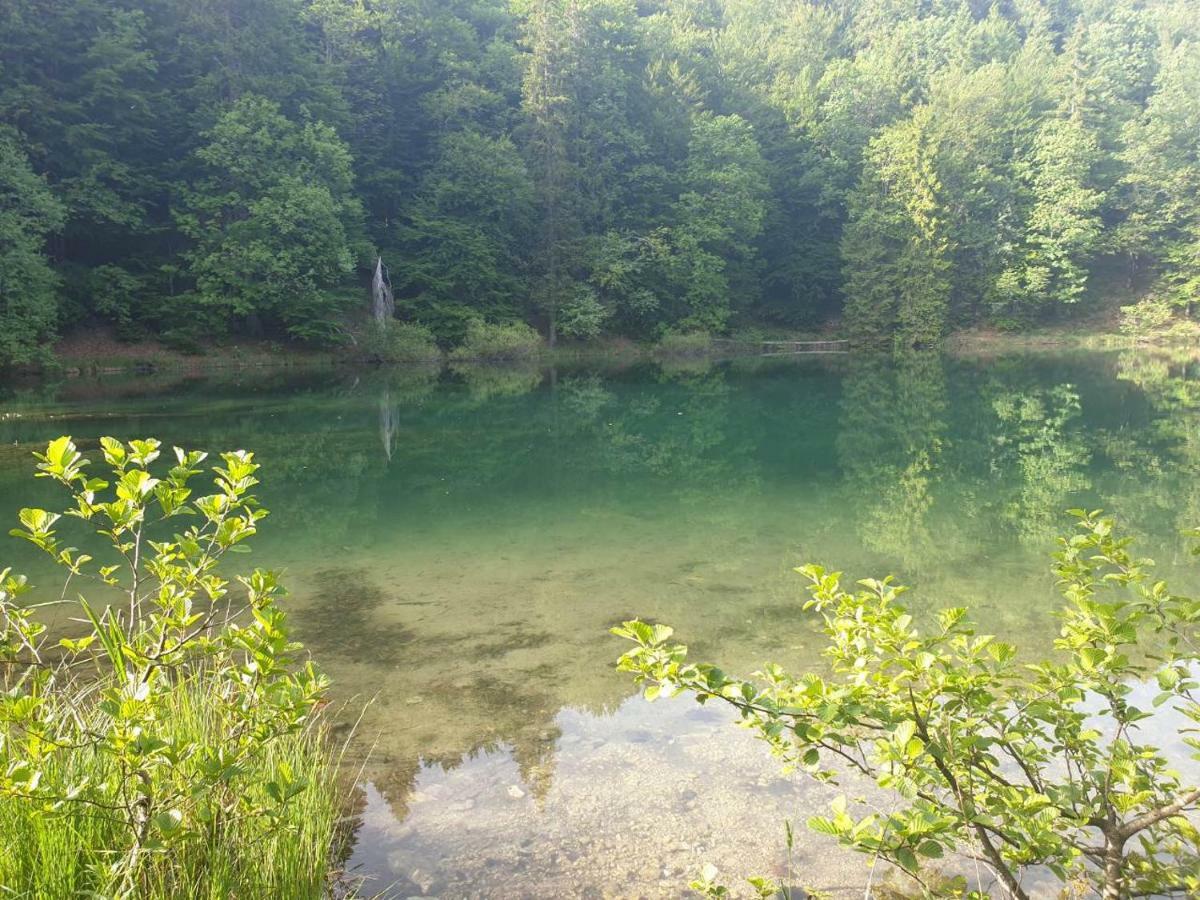 Villa Natali Donji Babin Potok Exteriér fotografie